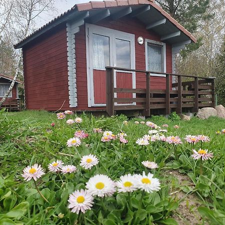 Paeevatalu Camping Hotel Vilusi Kültér fotó