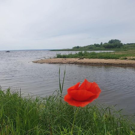 Paeevatalu Camping Hotel Vilusi Kültér fotó