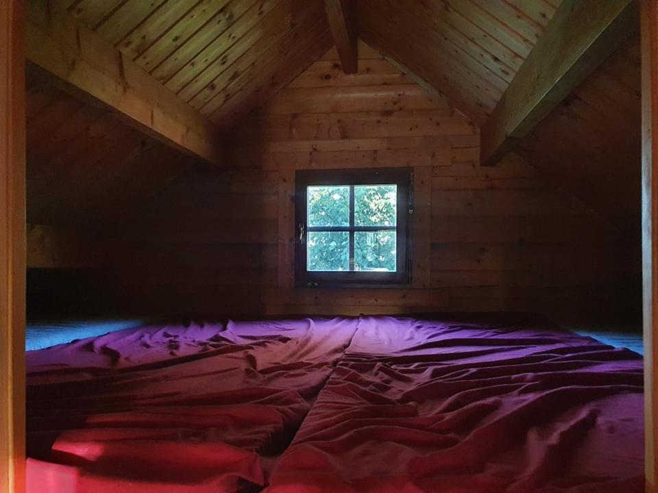 Paeevatalu Camping Hotel Vilusi Kültér fotó