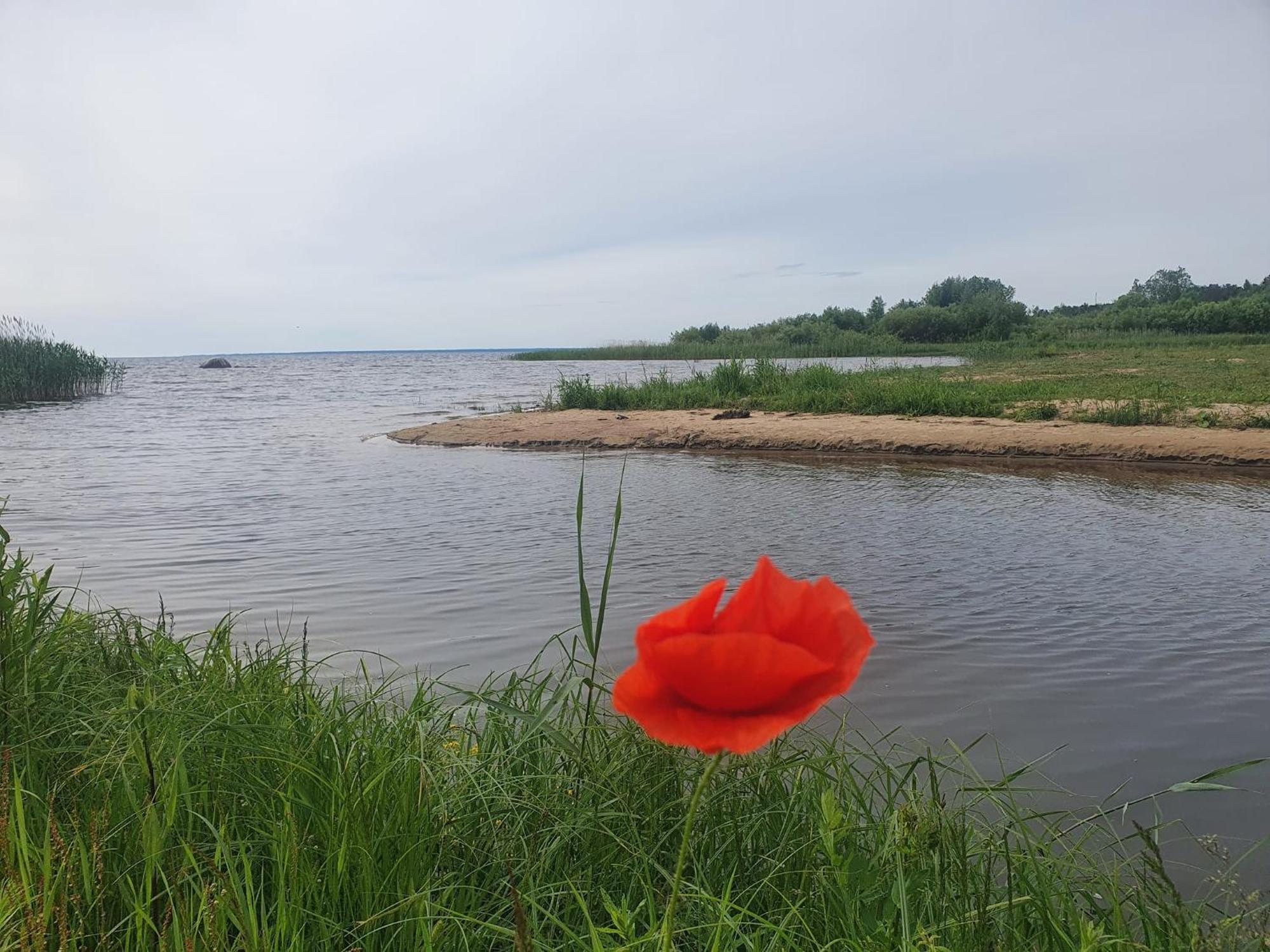 Paeevatalu Camping Hotel Vilusi Kültér fotó