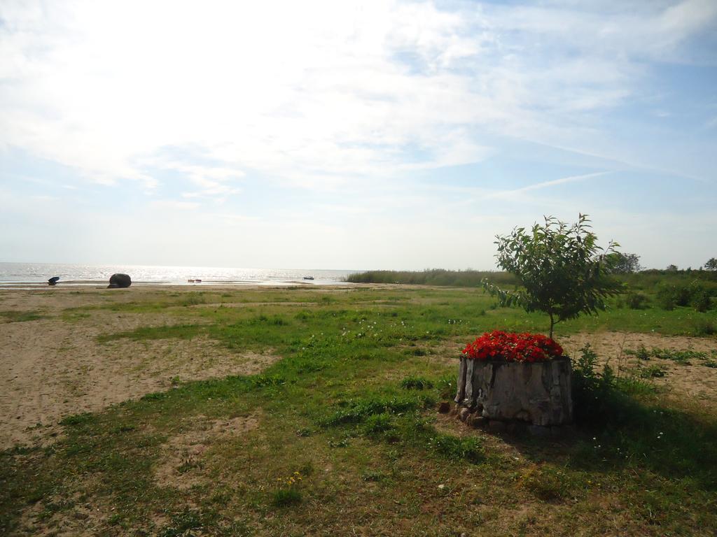Paeevatalu Camping Hotel Vilusi Kültér fotó